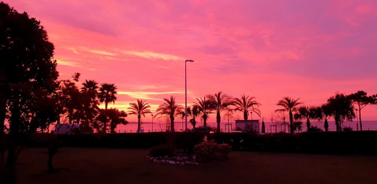 Garden And Beach Sea View Apartment カンヌ エクステリア 写真